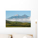 Volcano Cotopaxi Wall Decal