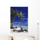 Bora and Its Motus