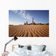 Sand Ripples And Rock Formation;Monument Valley Arizona Usa Wall Mural