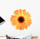 One Orange Flower with Wall Decal