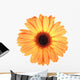 One orange flower with dew Wall Decal