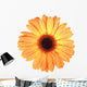 One orange flower with dew Wall Decal