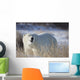 Polar Bear In The Sunshine;Churchill Manitoba Canada Wall Mural