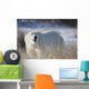 Polar Bear In The Sunshine;Churchill Manitoba Canada Wall Mural