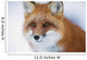 Portrait Red Fox Churchill Wall Decal