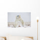 Polar Bears Play Fighting Wall Mural