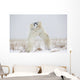 Polar Bears Play Fighting Wall Mural
