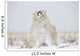 Polar Bears Play Fighting Wall Mural