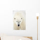 Portrait Of Polar Bear Wall Mural