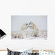 Polar Bears Play Fighting Wall Mural