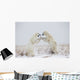 Polar Bears Play Fighting Wall Mural