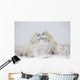 Polar Bears Play Fighting Wall Mural
