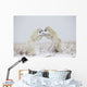 Polar Bears Play Fighting Wall Mural