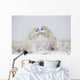 Polar Bears Play Fighting Wall Mural