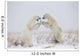 Polar Bears Play Fighting Wall Mural