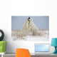 Polar Bears Play Fighting Wall Mural