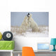 Polar Bears Play Fighting Wall Mural