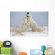Polar Bears Play Fighting Wall Mural