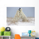 Polar Bears Play Fighting Wall Mural