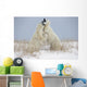 Polar Bears Play Fighting Wall Mural
