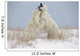 Polar Bears Play Fighting Wall Mural