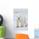 Polar Bear Walking Across Snow And Ice;Churchill Manitoba Canada Wall Mural
