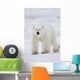 Polar Bear Walking Across Snow And Ice;Churchill Manitoba Canada Wall Mural