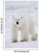 Polar Bear Walking Across Snow And Ice;Churchill Manitoba Canada Wall Mural