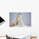 Polar Bears Play Fighting Wall Mural