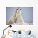 Polar Bears Play Fighting Wall Mural