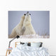 Polar Bears Play Fighting Wall Mural