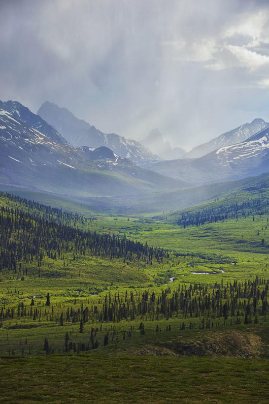 Storm Clouds Over The Klondike Valley In Tombstone Territorial Park Wall Mural
