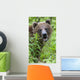 Grizzly Bear Eating Dandelions;British Columbia Canada Wall Mural