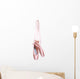 Hung Ballet Shoes