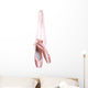 Hung Ballet Shoes