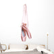 Hung Ballet Shoes