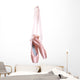Hung Ballet Shoes