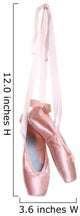 Hung Ballet Shoes