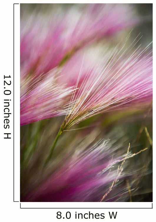Grass Seed Heads during Wall Decal