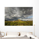 Angelcomb Mountain Lit By Late Afternoon Light Wall Mural