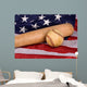 American Flag Vintage Baseball Wall Decal