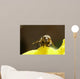 Abeille De Face Wall Mural