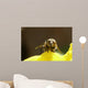 Abeille De Face Wall Mural