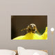 Abeille De Face Wall Mural