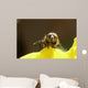 Abeille De Face Wall Mural