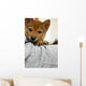 Shiba Child Dog Wall Decal