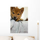 Shiba Child Dog Wall Decal