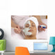 spa esthetician applying organic facial masque Wall Mural