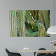 Cactus Wall Mural