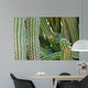 Cactus Wall Mural
